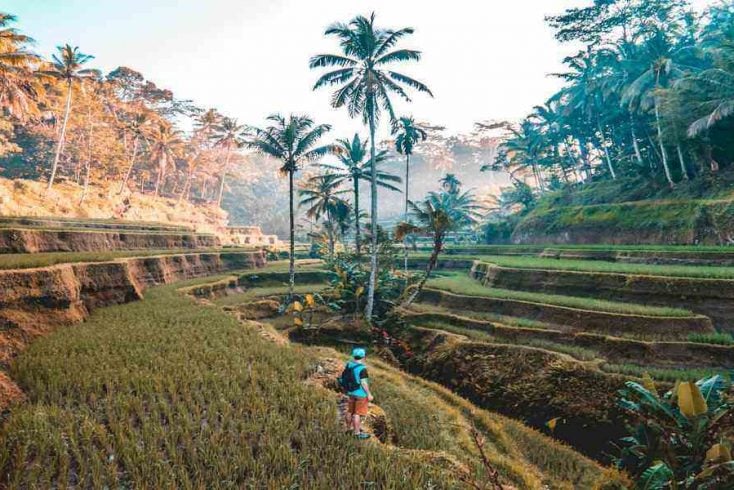 Ubud retreat and one of the most exotic travel destinations in the world