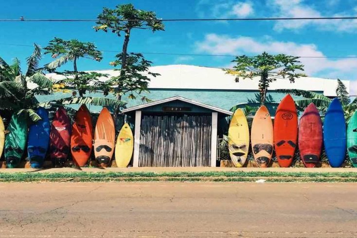surf boards on a wall perfect for things to do in Hawaii on vacation