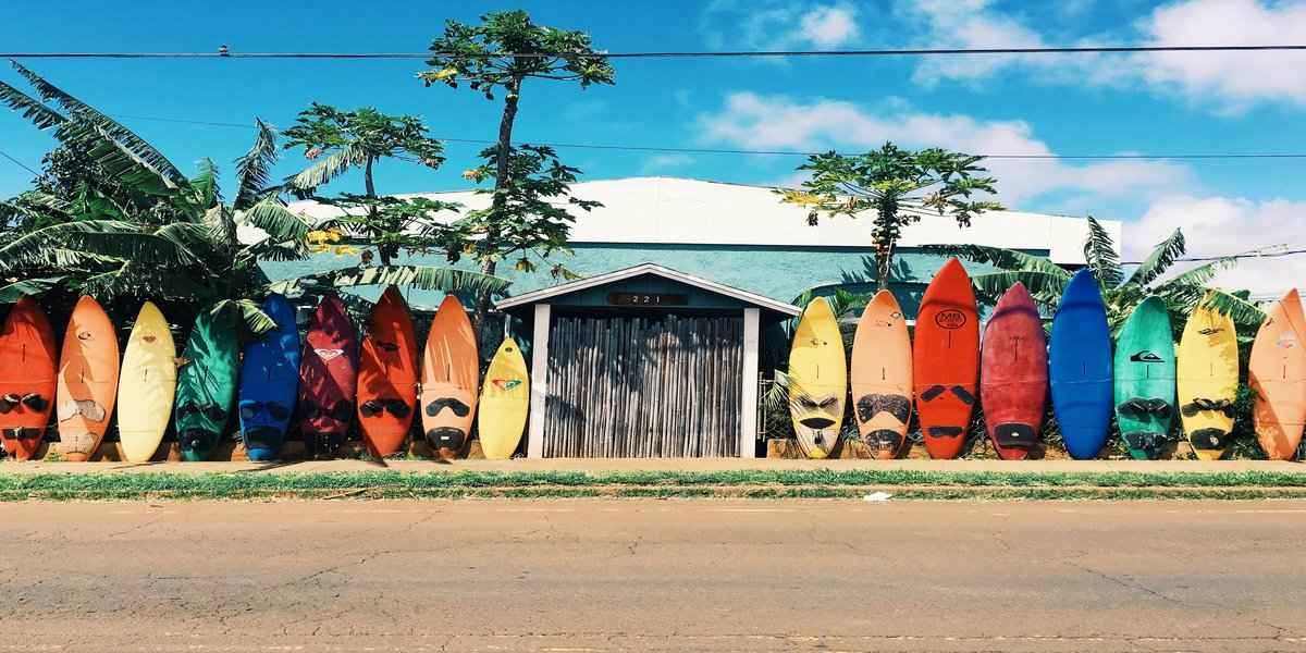 surf boards on a wall perfect for things to do in Hawaii on vacation