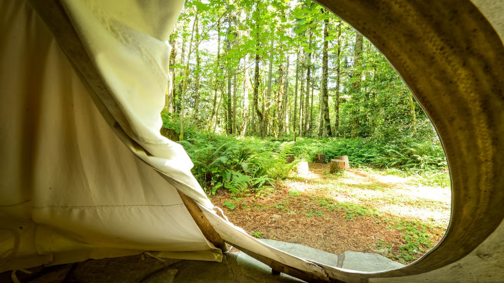 Quirky Zen Tipis Pitched at Charismatic Woodland Retreat, Oregon, west coast tipi glamping