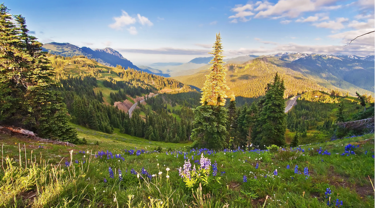 Olympic National Park, Washington