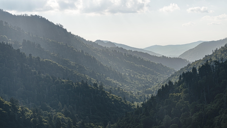 Great Smoky Mountains: camping near Asheville NC