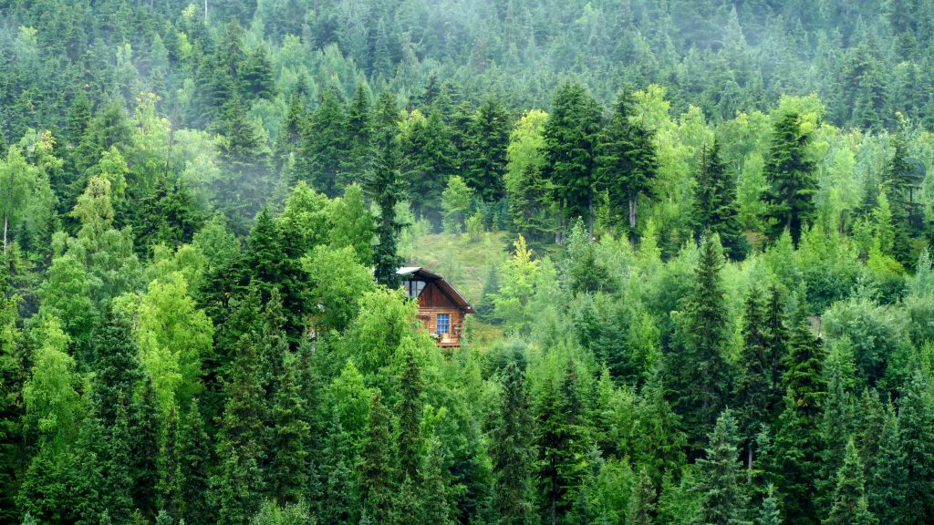 Midwest camping in luxury tree house rentals