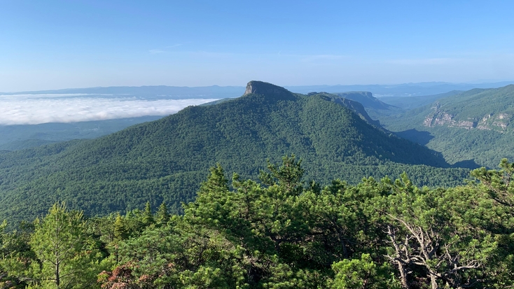 Pisgah National Forest hiking trails