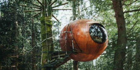 Best Places to Find Romantic Tree House Getaways