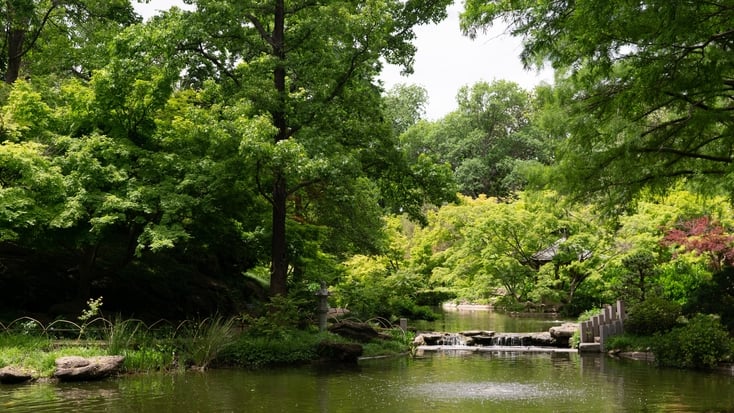 Texas Hill Country glamping getaways near rivers