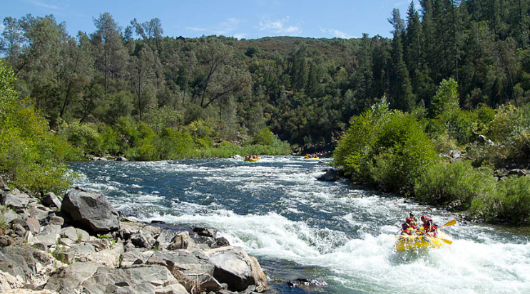 American River, Near Sacramento