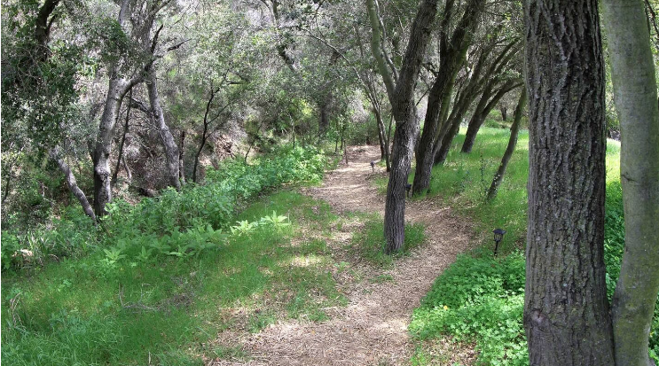 Nature in Malibu