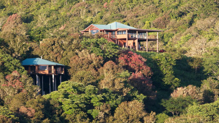Luxurious Tree House with a Spa Tub for Romantic Glamping in Queensland, rainforest retreats