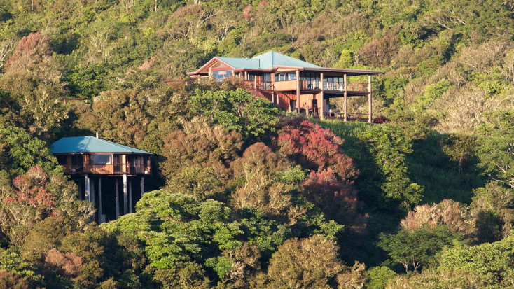 Luxuosa casa na árvore com banheira de hidromassagem para glamour romântico em Queensland, retiros na floresta tropical