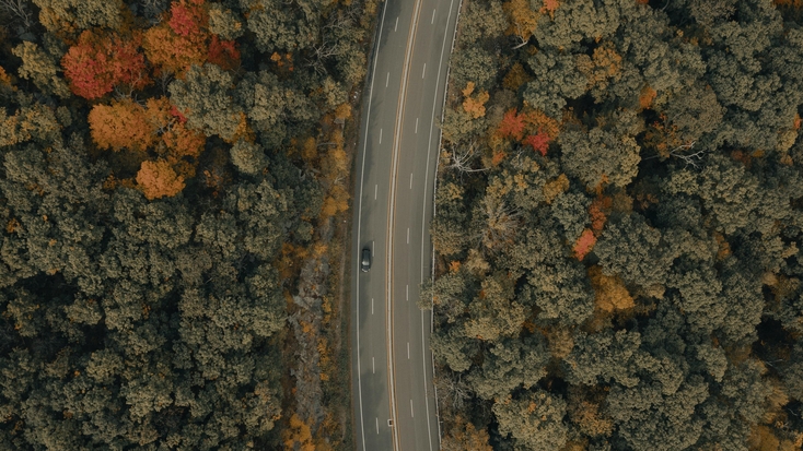 Beautiful woods in Hudson Valley, New York. Camping trips await