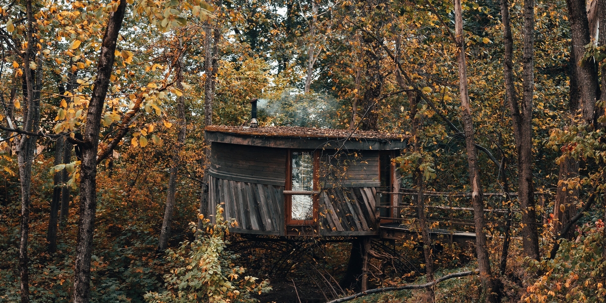 Tree House Road Trip Across the U.S.