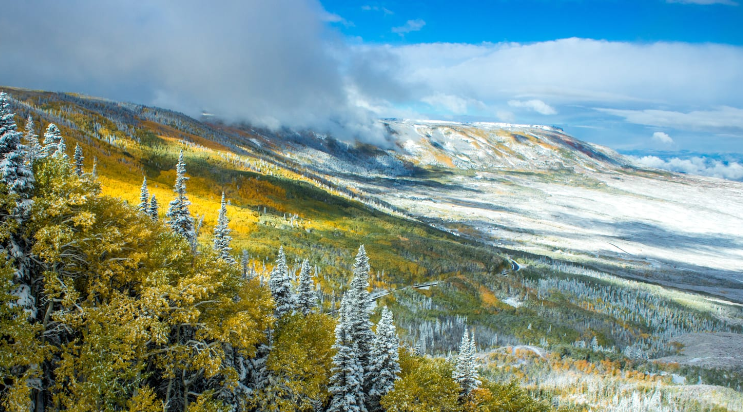 Cedaredge, Colorado