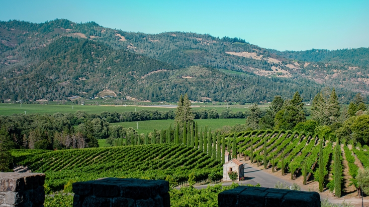 Views from Castello di Amorosa, Calistoga: vacations in California