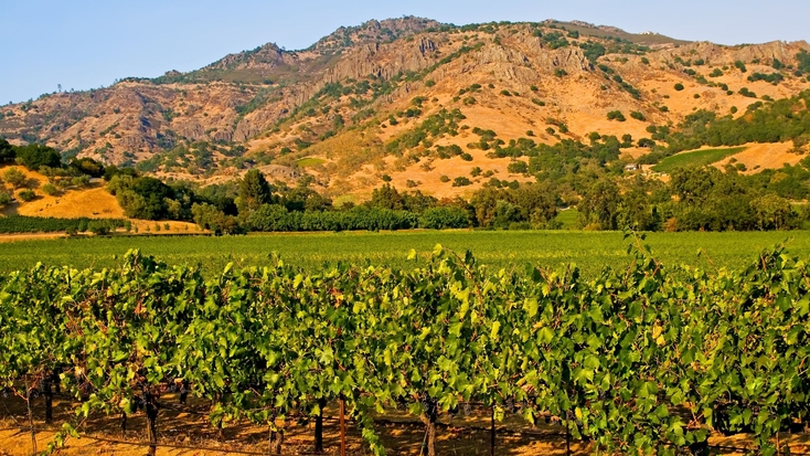 Views of Mayacamas Mountains: Napa getaways 2021