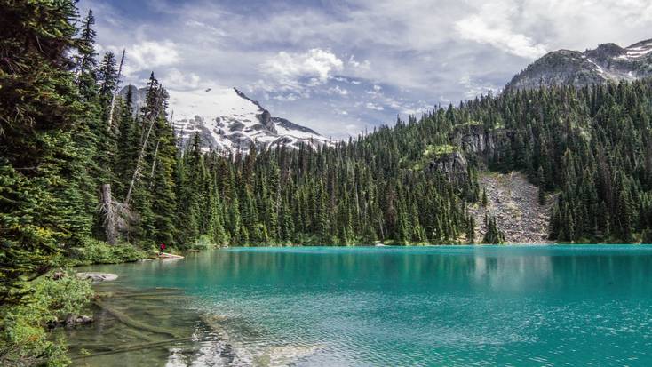 A woman standing on a log on a lake in British Columbia.