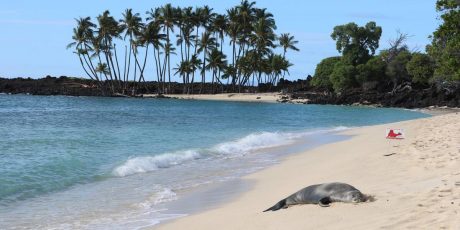 Visit The Big Island: Hawaii Vacations 2021