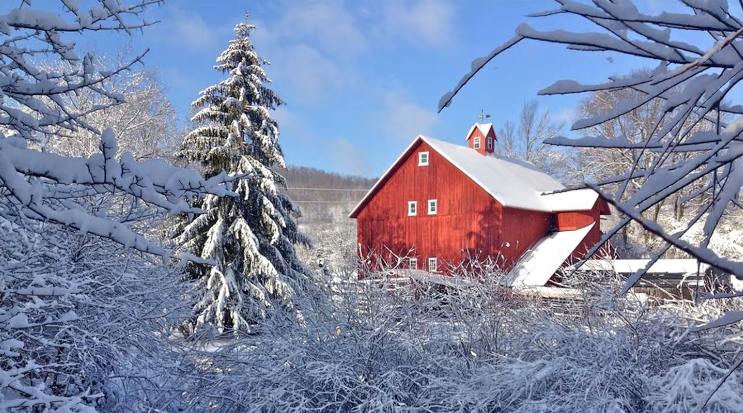 Escape to an Organic Farm in the Catskill Mountains, New York