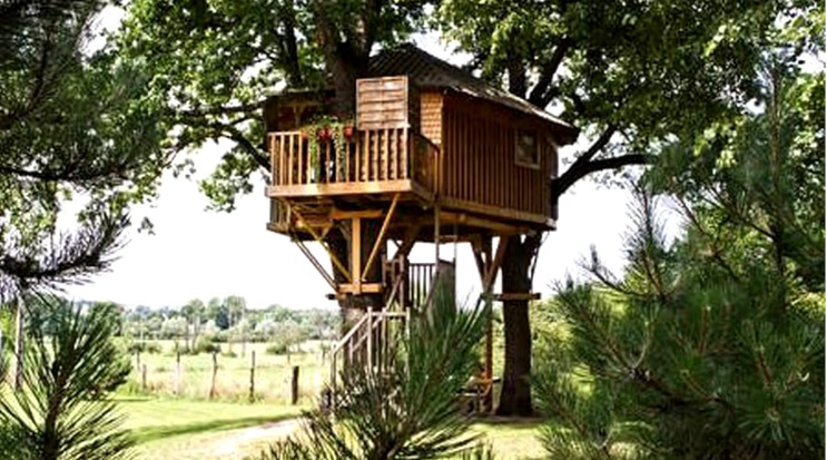 Charming Tree House In a Forest Under the Vosges Mountains in France