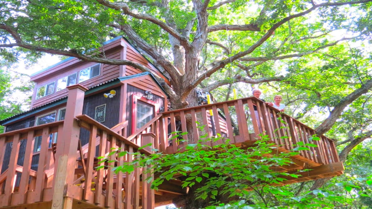 Gorgeous Tree House near Shawnee National Forest, Illinois, road trips from chicago