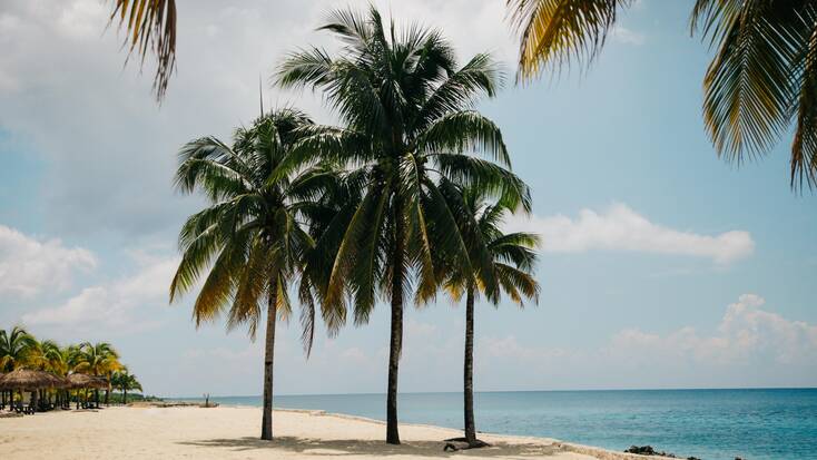 Haulover Beach, Miami: rentals available today with US campervans and more