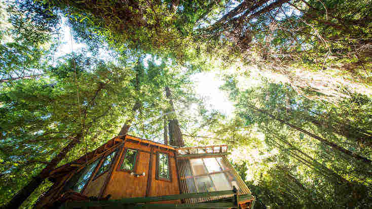 A tree house in woodland near Monterey Bay, CA, glamping hub gift card