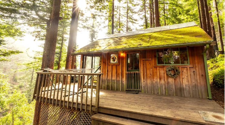 Inviting Cabins in the Trees Surrounded by Redwoods near Big Sur, California