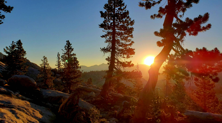 San Jacinto Mountains in Idyllwild, California