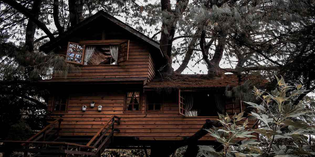 cool tree houses SoCal and one of the best places to stay in Southern California 2020