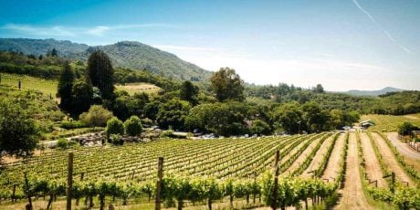 Romantic Getaways in Sonoma County, California: Couples Camping