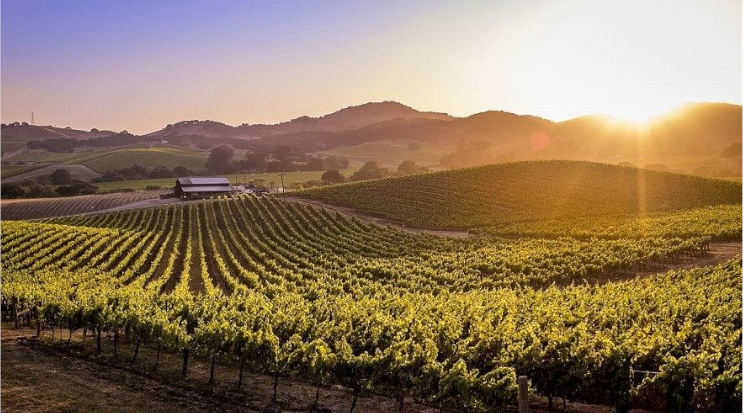 Visiting California wine country? Try Sonoma, California Countryside