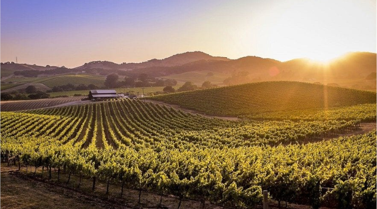 Sonoma, California Countryside