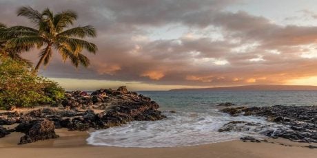 Maui Travel Guide 2021: Fun Things To Do In Hawaii