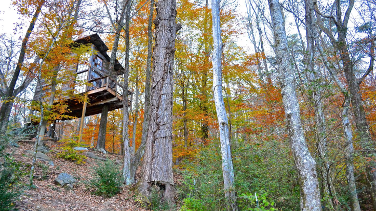 Secluded Tree House in the Forest near the Appalachian Mountains, Georgia, top 5 tree houses 