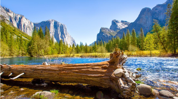 Top 10 national parks for hiking: Yosemite, Olympic, Sequoia, Glacier