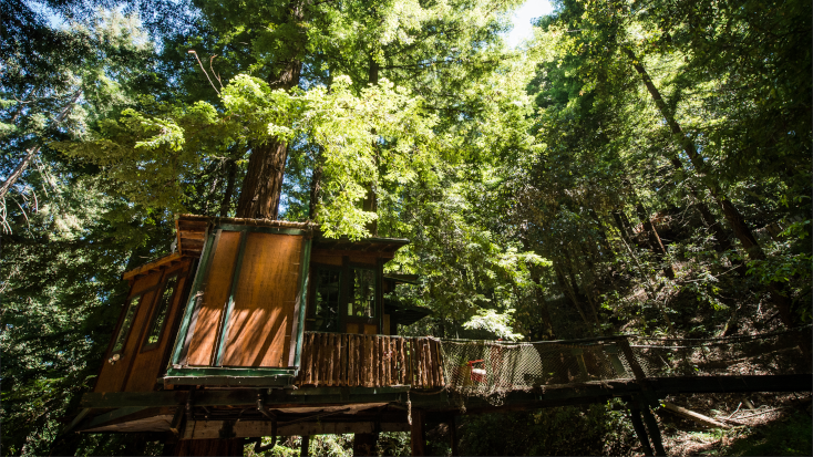 Glamping Tree House in Santa Cruz Mountains, California