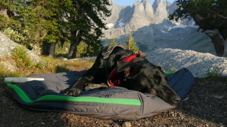 Pack a special sleeping back for your dog when you go glmaping this fall.