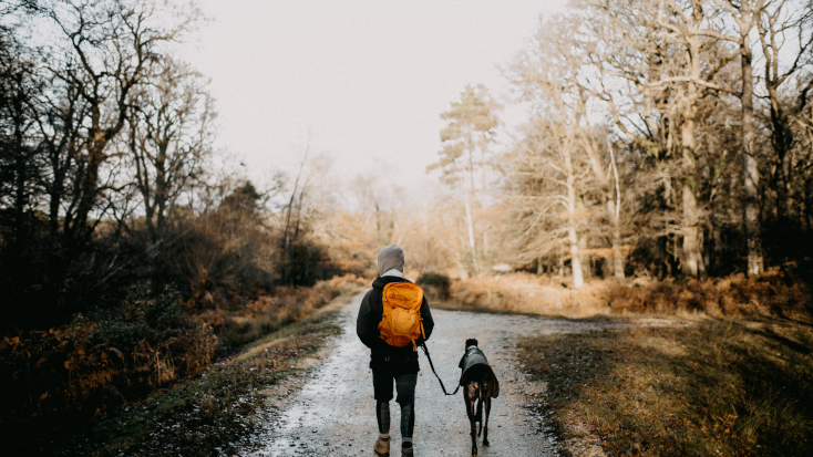 Make sure to pack a first aid kit when you go camping with your dogs this weekend