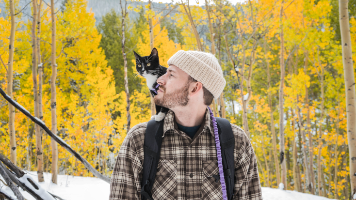 Hiking with a cat in the forest