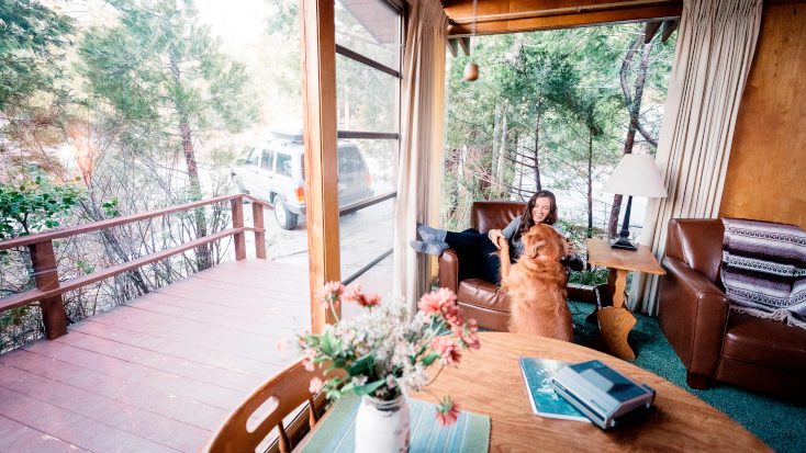 Cozy cabin in Idyllwild, Calforina on a pet-friendly vacation