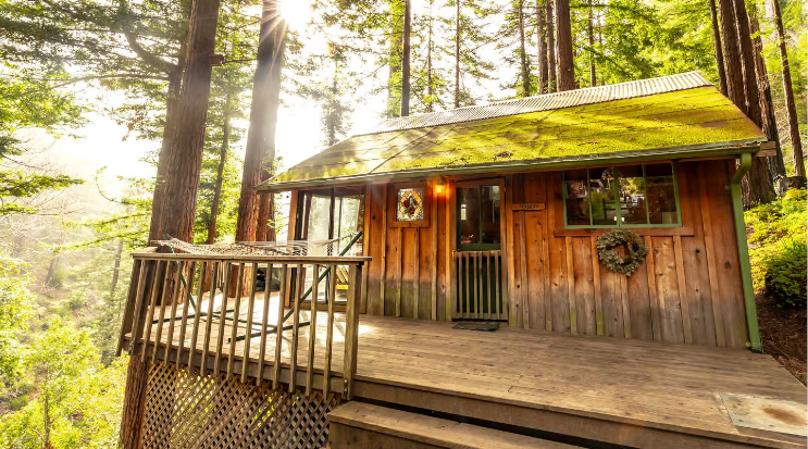 Inviting Cabins in the Trees Surrounded by Redwoods near Big Sur, California