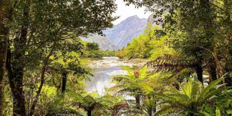 Best National Parks in the World: 8 Places to Go Camping in 2020