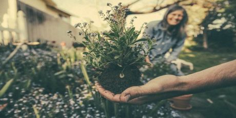 Sustainable Gardening: Looking After The Environment in 2022
