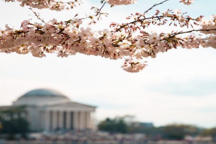 view of one of the best places to travel for memorial day: washington