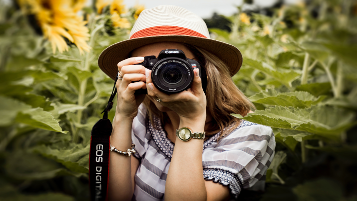 photographer in a sunflower field