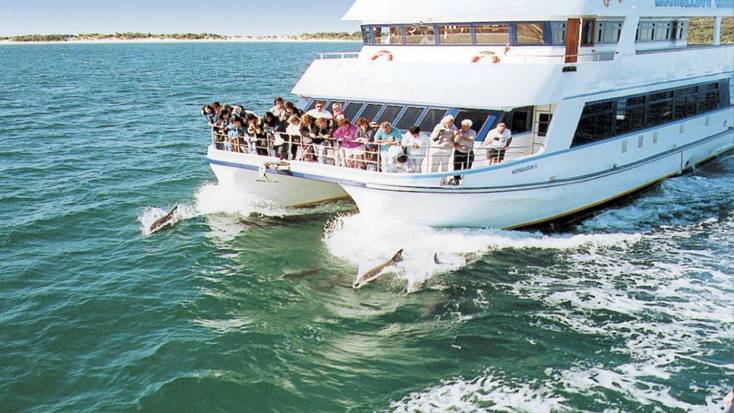 Um passeio de observação de baleias de Port Stephens com golfinhos nadando ao lado do barco.