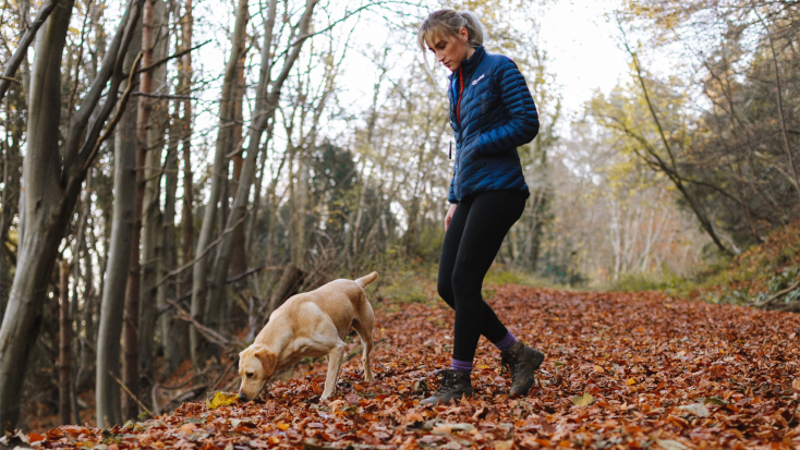 Make sure to look after your pet health when hiking the best dog trails in Banff this weekend