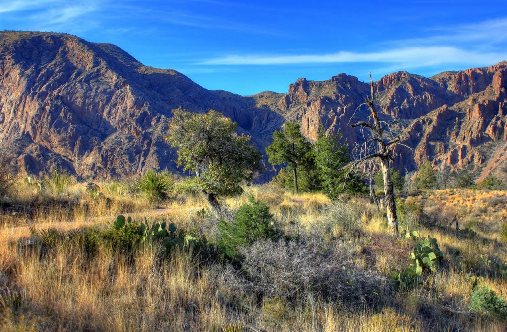 A view over Big Bend National Park, Texas, with rock formations in the background.