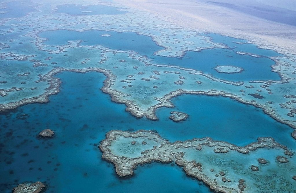 Explore the Great Barrier Reef when you stay near Cairns for some December sun!