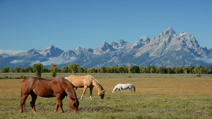 Head to Wyoming for a unique, ranch wedding